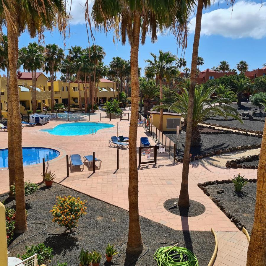 Appartement Oasis Royal F320 à Corralejo Extérieur photo